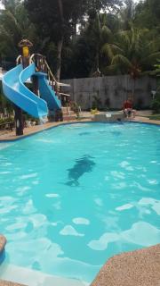 Pedz Cing Mango Lodge - Oslob - 5