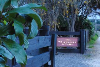 Te Awanga Cottages - Te Awanga - 2