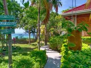 Ancelle Cristo Re - 2