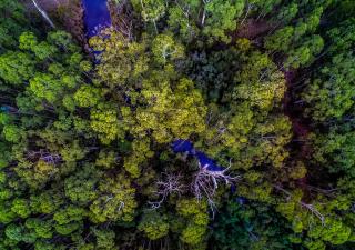 Saintys Creek Cottage - South Bruny - 3
