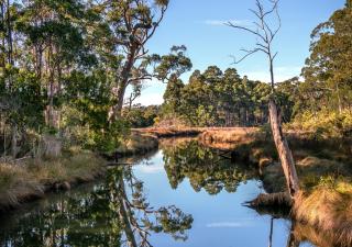 Saintys Creek Cottage - South Bruny - 7