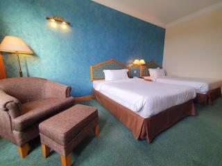 Parkview Hotel - Kampong Jerudong - 7