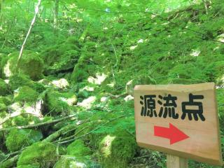 Nature Resort in Shimanto - 1