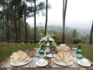 Manohara Borobudur Cultural Center - 5