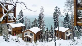 Hancioglu Orman Evleri & Hotel - 4