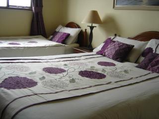 Springlawn - Clarinbridge - 7