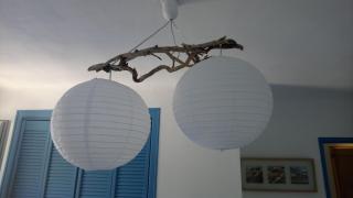 L'Esperluette en Camargue - 8