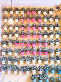 BLUE OCEAN BOUTIQUE HOTEL - Boracay Island - 2