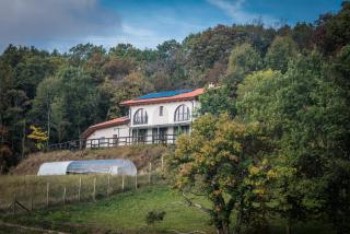 Agriturismo "La Collina" - 15km dal centro di Torino - Baldissero Torinese - 8