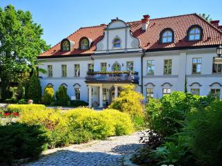 Pałac Czarny Las (50 km od Katowic) - 8