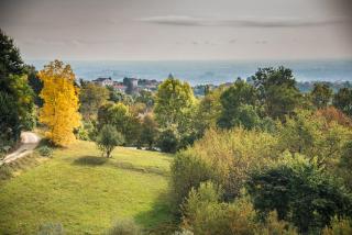 Agriturismo "La Collina" - 15km dal centro di Torino - Baldissero Torinese - 7