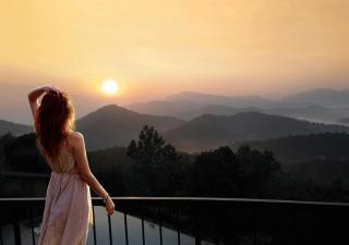 Poetree Thekkady - Thekkady - 7