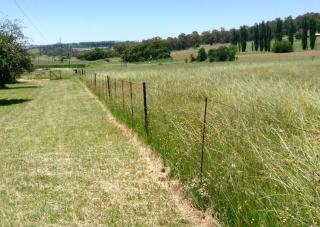 Clarens socialites, Thatch Cottage #1 - 5