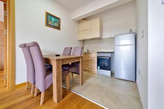 Apartment Victory in Vila Pekovic - Zlatibor - 4