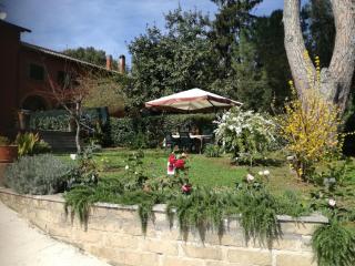 Vigna dell'Agrifoglio - Bed and Breakfast - Velletri - 3