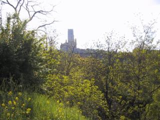 gite de Pratgraussals - Albi - 6