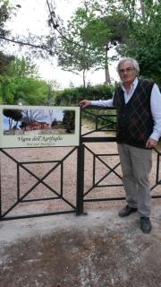Vigna dell'Agrifoglio - Bed and Breakfast - Velletri - 0