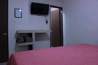 Hotel Plaza Aleman - León - 7