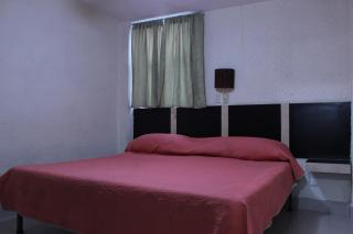 Hotel Plaza Aleman - León - 6