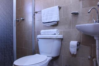 Hotel Plaza Aleman - León - 4