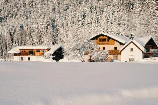 Der Tannenhof - Reutte - 0