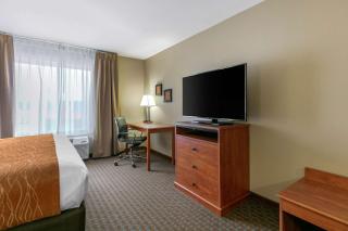 Comfort Inn & Suites Marion I-57 - Marion - 7