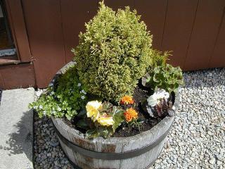 Torcroft Lodges - 6