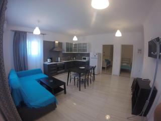 Kanellos luxury apartments - Palairos - 5