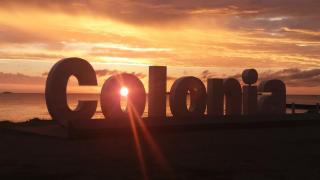 jazmin1 - Colonia del Sacramento - 0