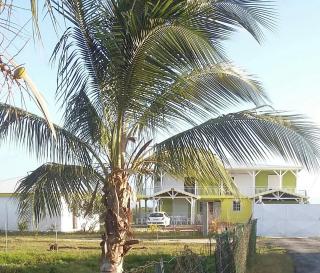VILLA SOLEIL DE SURGY - Sainte-Anne - 0