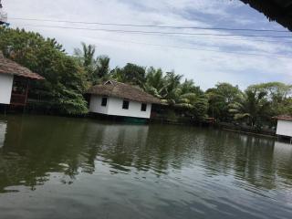 Mango Meadows - Kottayam - 5