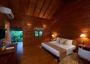 Cinnamon Wild Yala - 2