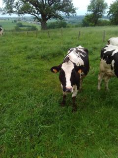 Appartement Petite Vallée - 7