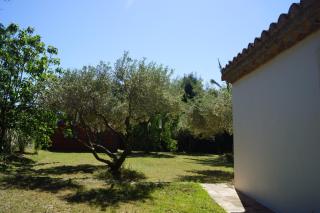 Studio au coeur de la petite camargue - Beauvoisin - 7