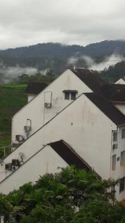 Bukit Tinggi Fuchsia Hillhomes - 6