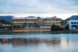 Peten Esplendido - Flores - 3