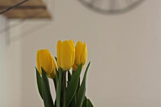 Cozy Dreams Apartment - Zadar - 7