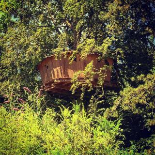 Le Domaine de Wail - Legends Resort - Wail - 7
