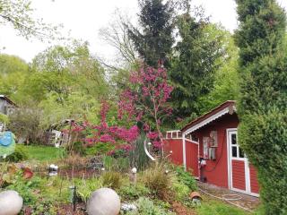 Haus Maria - Fischbach - 8