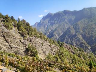 Villa de Taburiente - El Paso - 4