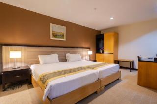 Hallmark View Hotel - Malakka - 8