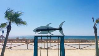 Beautiful studio in Vejer - 7