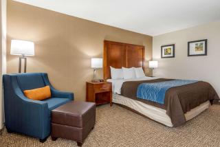 Comfort Inn Anderson South - Anderson - 2