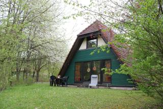 Ferienhaus Kirschblüte - Ronshausen - 0