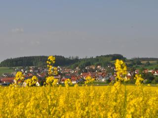 Gästehaus Schneider - Eppishausen - 7