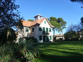 La Maison du Môle - Aigues-Mortes - 0