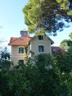 La Maison du Môle - Aigues-Mortes - 4