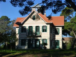 La Maison du Môle - Aigues-Mortes - 5