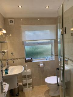 The Eiders - Aylmerton - 4
