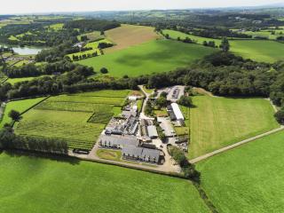 Llanerch Vineyard Hotel - 0